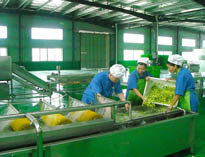 四川中央午夜视频免费在线观看設備廠家詳解中央午夜视频免费在线观看的分區要自己設計注意事項